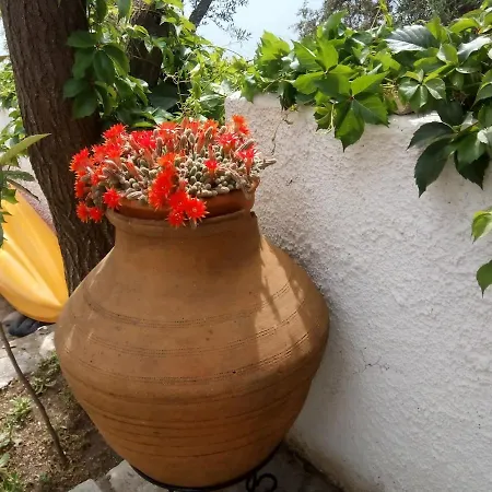 Penelope - Unique Beachfront House Сasa de vacaciones Sourpi