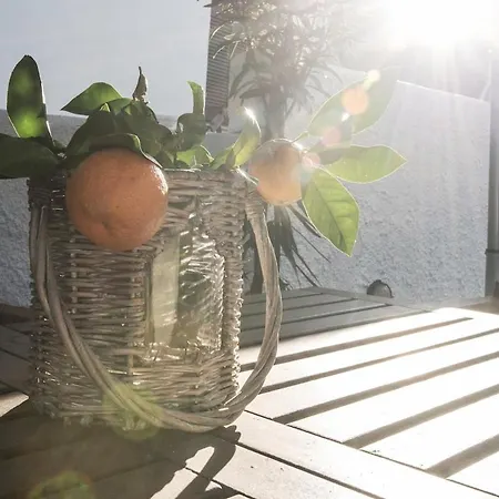 Сasa de vacaciones Penelope - Unique Beachfront House Sourpi